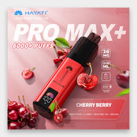 Hayati Pro Max+ 6000 Kit 6000 Puffs 20mg Blueberry Pomegranate