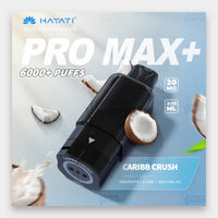 Hayati Pro Max Plus Pod 6000 Puffs 20mg Blueberry Raspberry Flavor