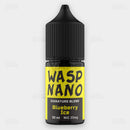 BLUEBERRY ICE - WASP NANO - 30ML