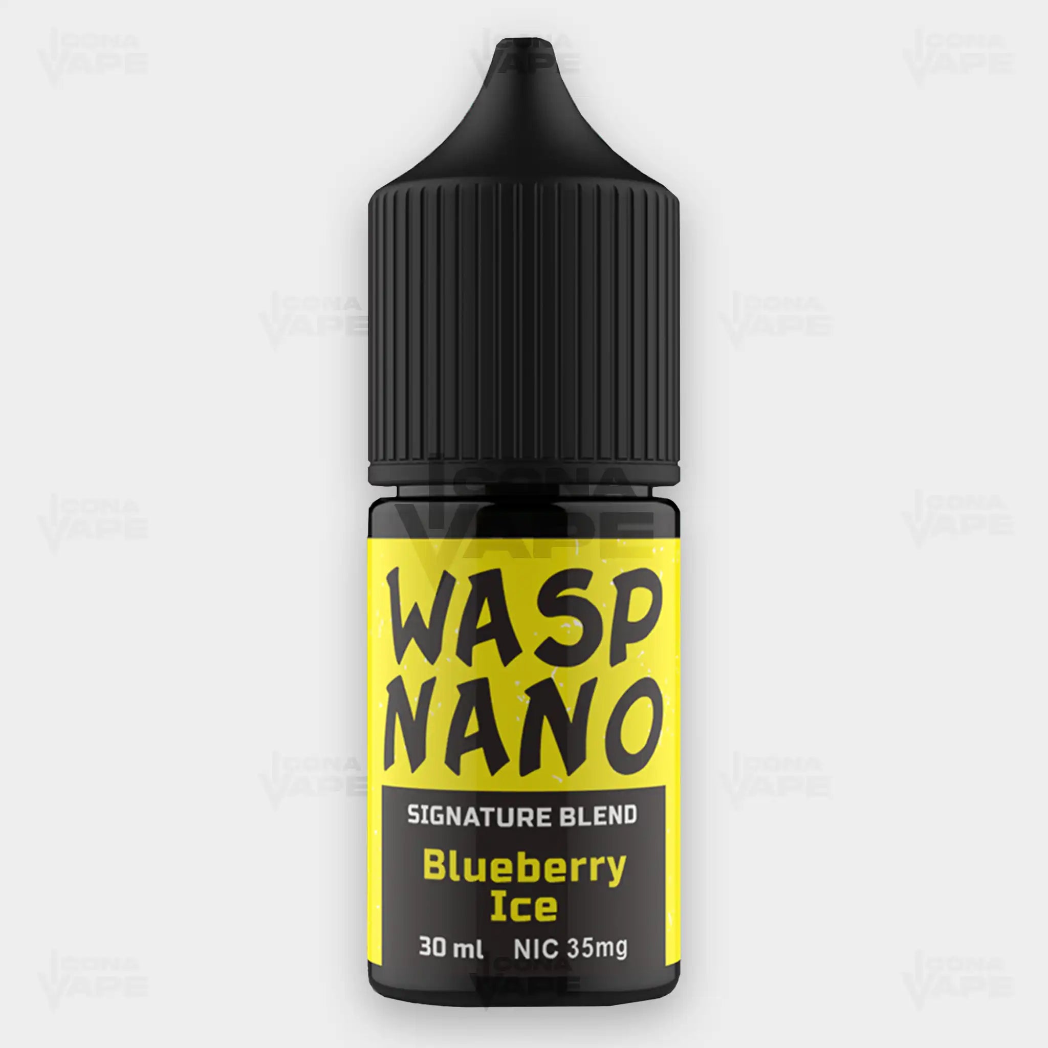 BLUEBERRY ICE - WASP NANO - 30ML