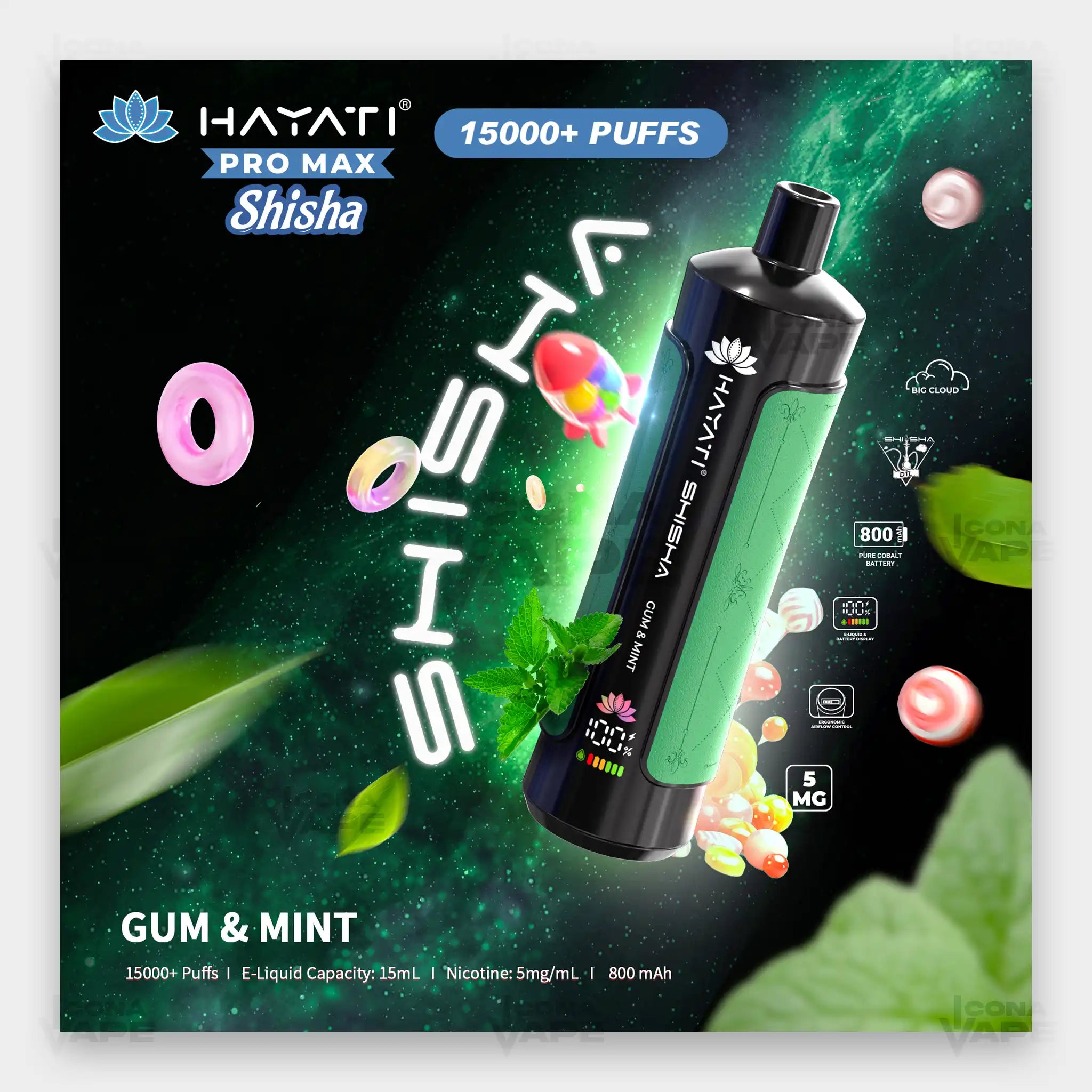 Hayati Pro Max Shisha 15000 Grape Mint disposable vape Pakistan refreshing mint grape flavour
